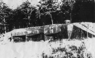 Ligne Maginot - BOIS D'OTTONVILLE - BCA1 - (Casemate d'artillerie) - 