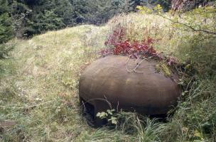 Ligne Maginot - BOURENE OUEST - C21 - (Casemate d'infanterie) - Cloche GFM dans son écrin de verdure