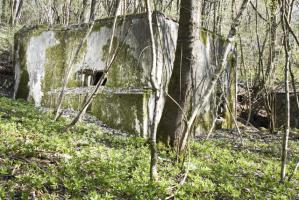 Ligne Maginot - DB125 - BOIS DE CRUSNES OUEST - (Blockhaus pour canon) - 
