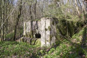 Ligne Maginot - DB126 - BOIS DE CRUSNES EST - (Blockhaus pour canon) - 