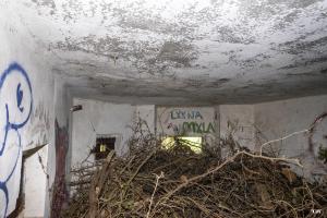 Ligne Maginot - B340 - RUE DE L'HOTEL - (Blockhaus pour canon) - 