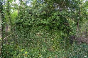 Ligne Maginot - BEF 503 - LA GARE SUD - (Blockhaus pour arme infanterie) - Le blockhaus bien camouflé
