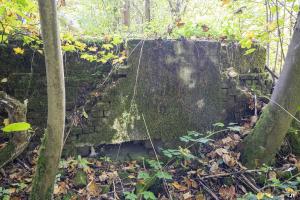 Ligne Maginot - BEF 313A - LES BRUYERES OUEST - (Blockhaus pour arme infanterie) - 