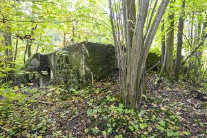 Ligne Maginot - BEF 313A - LES BRUYERES OUEST - (Blockhaus pour arme infanterie) - 