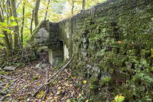Ligne Maginot - BEF 313A - LES BRUYERES OUEST - (Blockhaus pour arme infanterie) - 