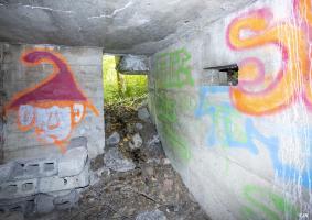 Ligne Maginot - BEF 313A - LES BRUYERES OUEST - (Blockhaus pour arme infanterie) - 