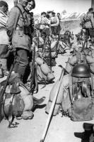 Ligne Maginot - REDOUTE RUINEE - (Ouvrage d'infanterie) - L'avant poste le 02 juillet 1940
L'armistice signé, l'équipage se prépare au départ