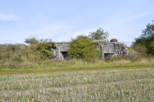 Ligne Maginot - ROUTE D'OTTANGE EST - C31 - (Casemate d'infanterie - Simple) - 