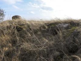 Ligne Maginot - TRESSANGE - C32 - (Casemate d'infanterie - Simple) - Les cloches de la casemate.