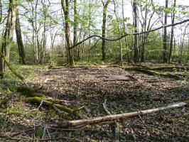 Ligne Maginot - 62T - (Chambre de coupure) - 