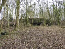 Ligne Maginot - GROS BOIS - C35 - (Casemate d'infanterie - Simple) - 