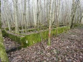 Ligne Maginot - GROS BOIS - (Casernement) - Les fondations du casernement.