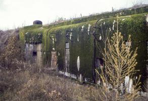 Ligne Maginot - GROS BOIS - X1 (QUARTIER LUDELANGE - I/128°RIF) - (Abri) - 