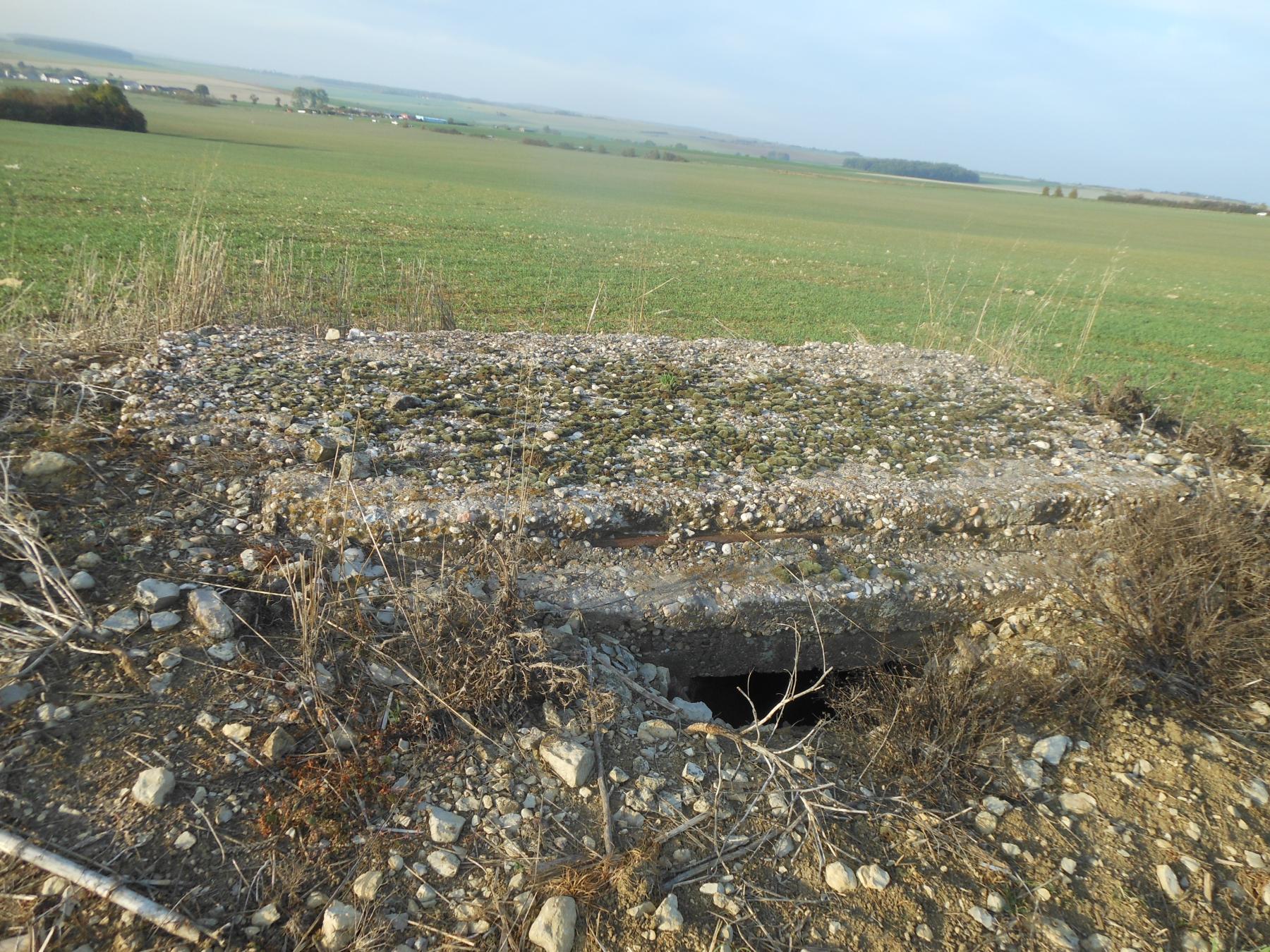 Ligne Maginot - BININGERWIESE 5 - (Abri) - L'accès à l'abri - jean michel minich