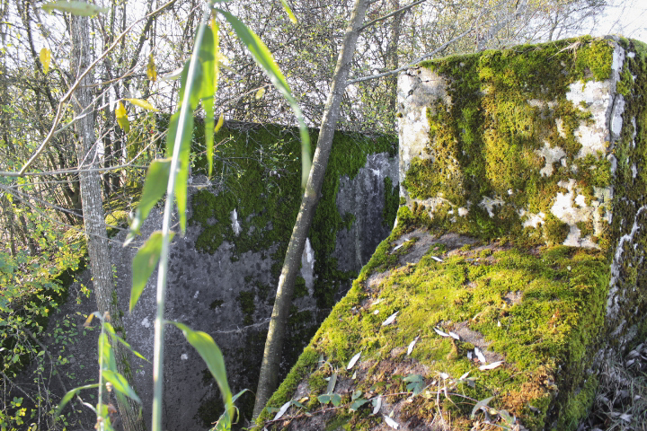 Ligne Maginot - LANGENBACH - (Inondation défensive) - 