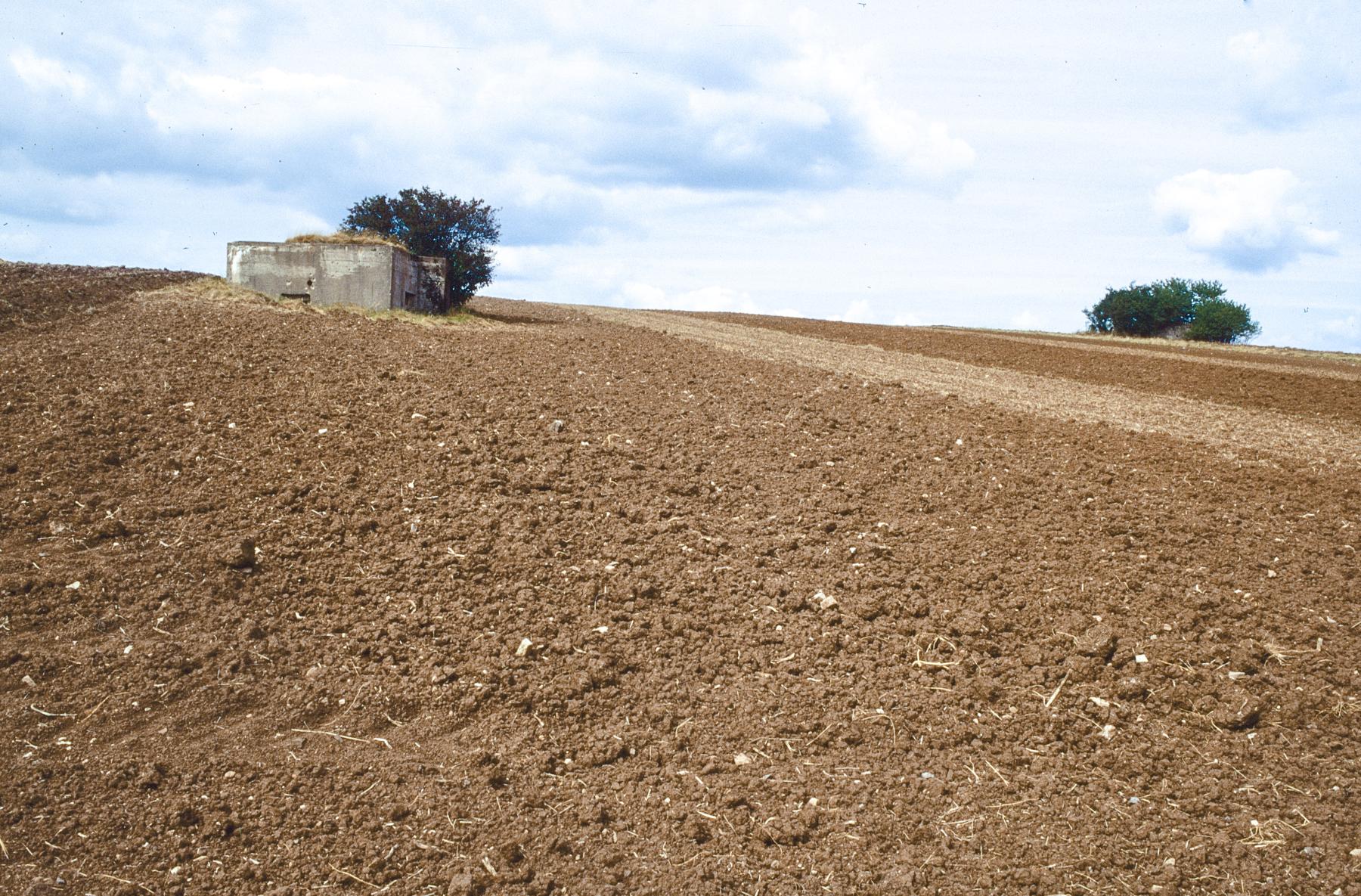 Ligne Maginot - RODENBERG 4 - (Blockhaus pour arme infanterie) -  - MANSUY Michel