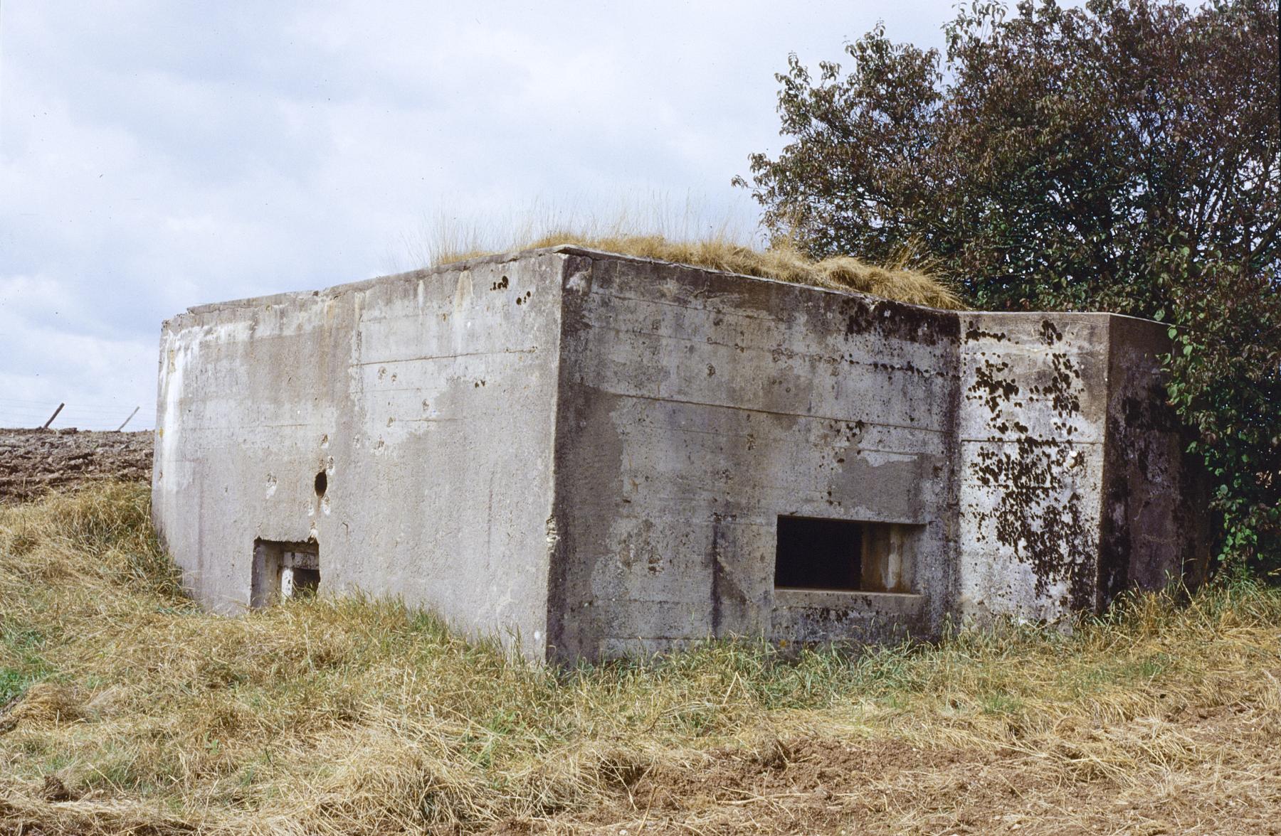 Ligne Maginot - RODENBERG 4 - (Blockhaus pour arme infanterie) -  - MANSUY Michel