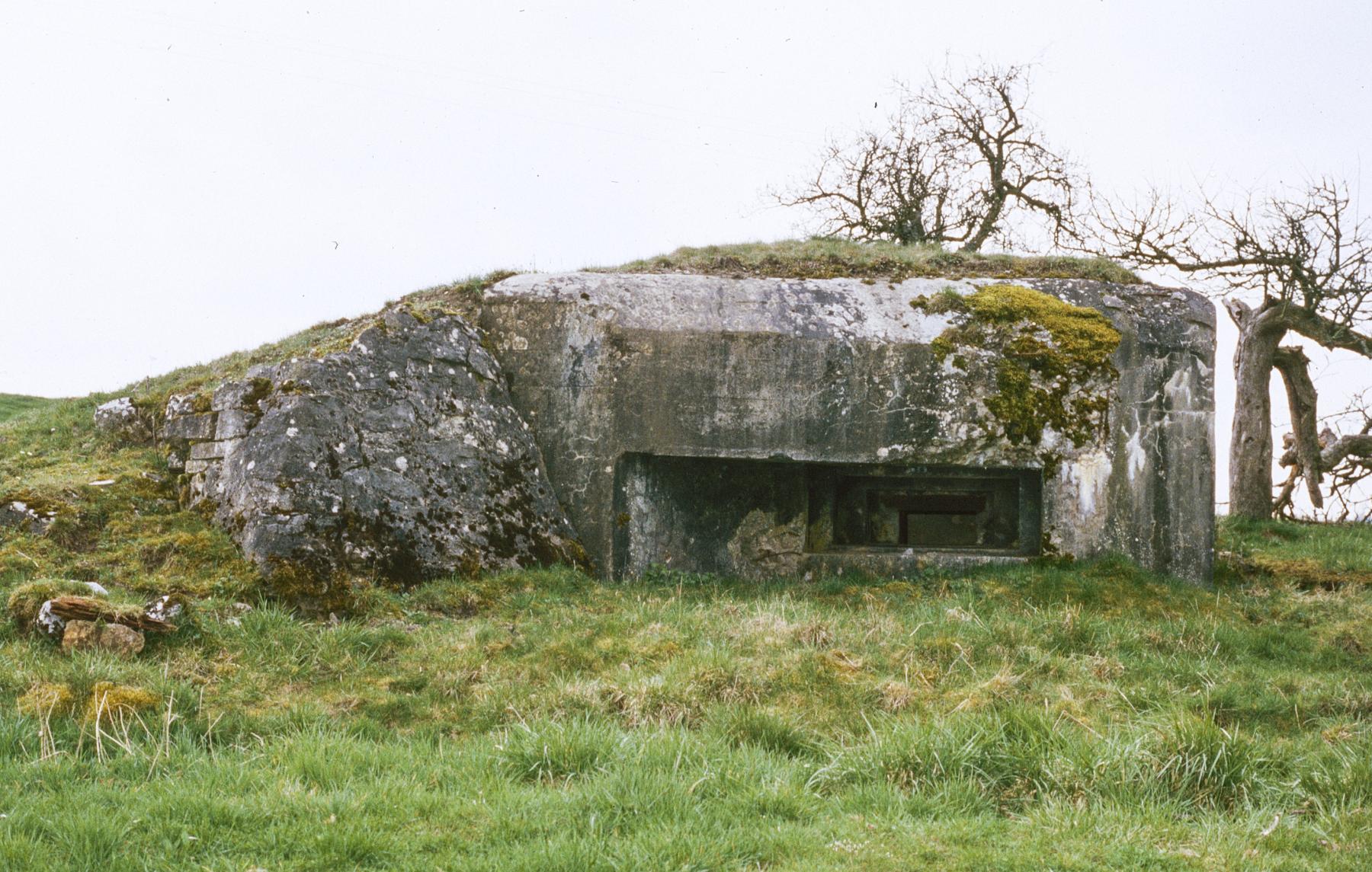 Ligne Maginot - M31B - (Blockhaus pour arme infanterie) -  - MANSUY Michel