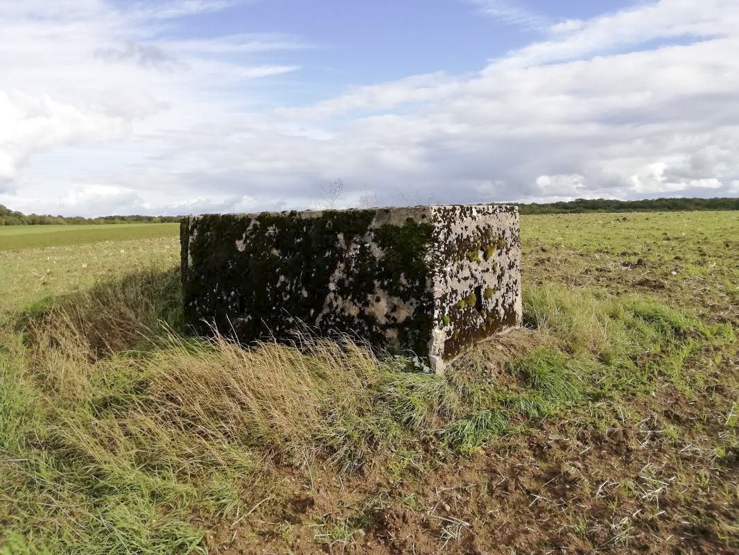 Ligne Maginot - STRANGETZEL OUEST - (Blockhaus de type indeterminé) -        