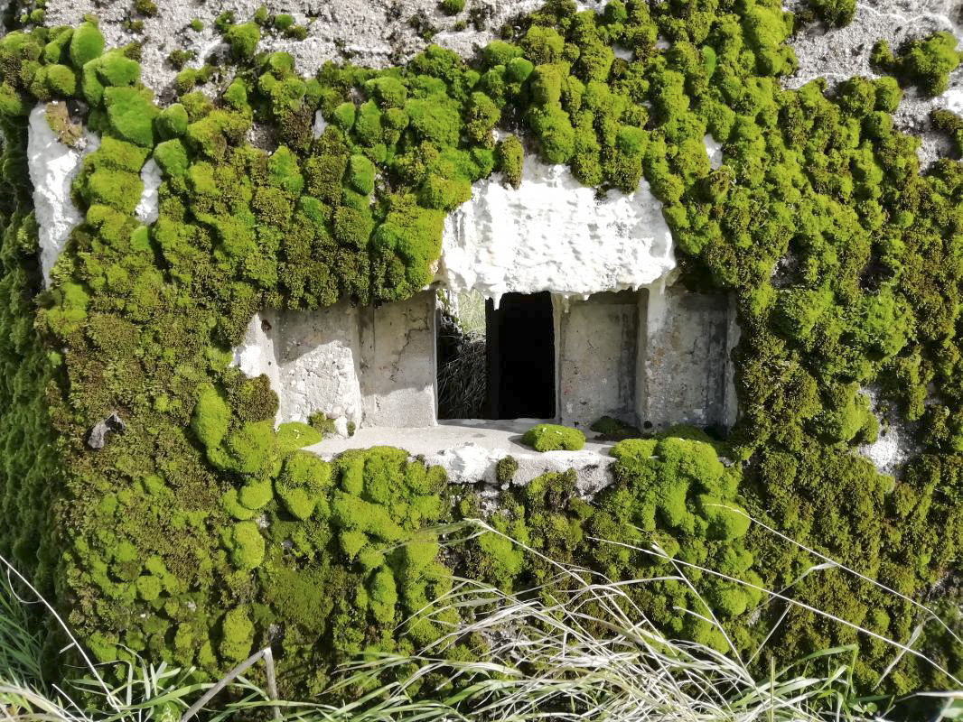 Ligne Maginot - STRANGETZEL EST - (Blockhaus de type indeterminé) -     