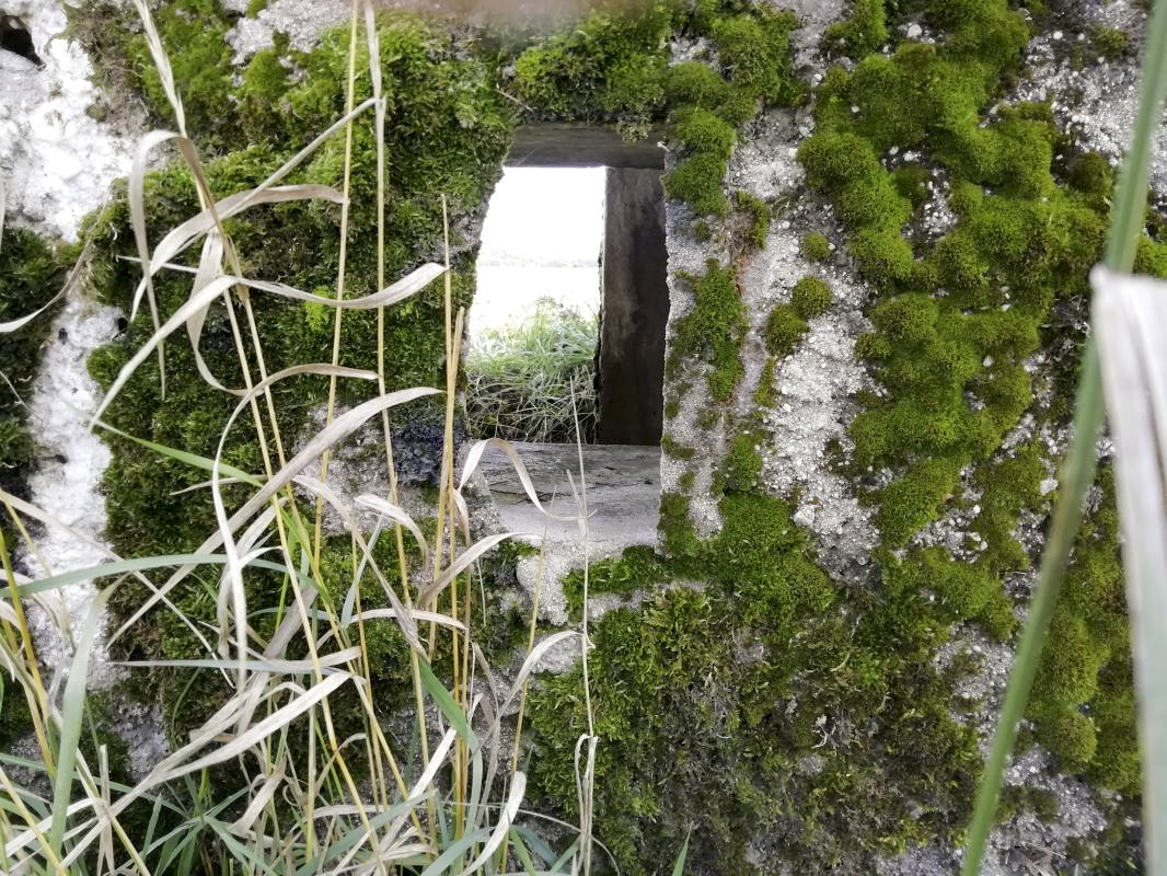 Ligne Maginot - STRANGETZEL EST - (Blockhaus de type indeterminé) -      