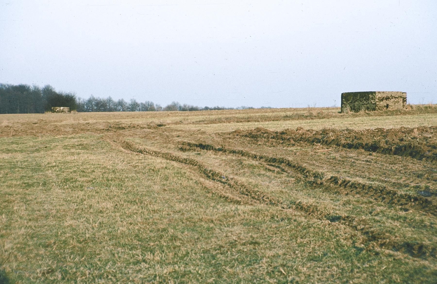 Ligne Maginot - STRANGETZEL OUEST - (Blockhaus pour arme infanterie) - Les deux blockhaus du Strangetzel - MANSUY Michel