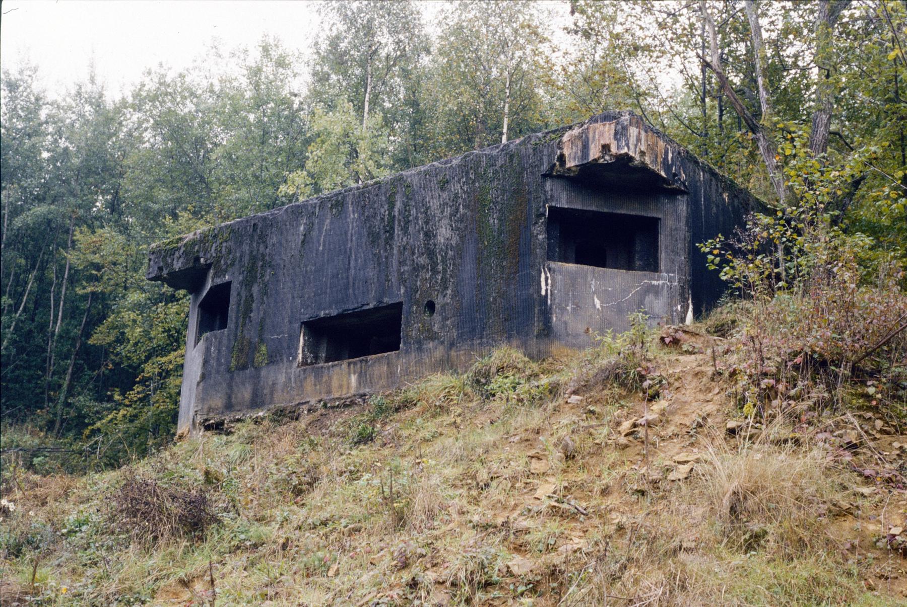 Ligne Maginot - MF20 - W - BOUCHON DES RAPPES - (Poste GRM - Maison Forte) -  - MANSUY Michel