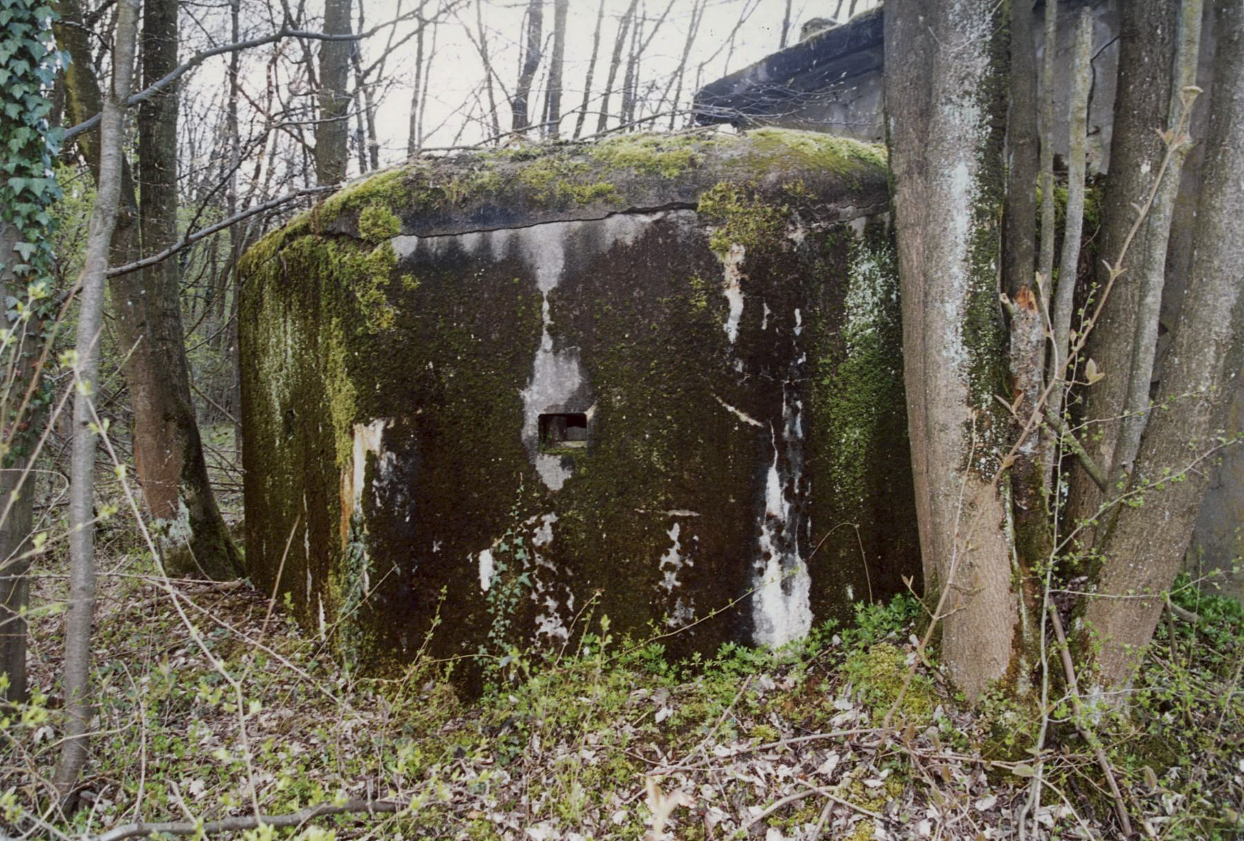 Ligne Maginot - TETERCHEN NORD - (Poste GRM - Maison Forte) - Le poste avancé avant reconstruction
Le blockhaus - Jean-Louis Nospeld