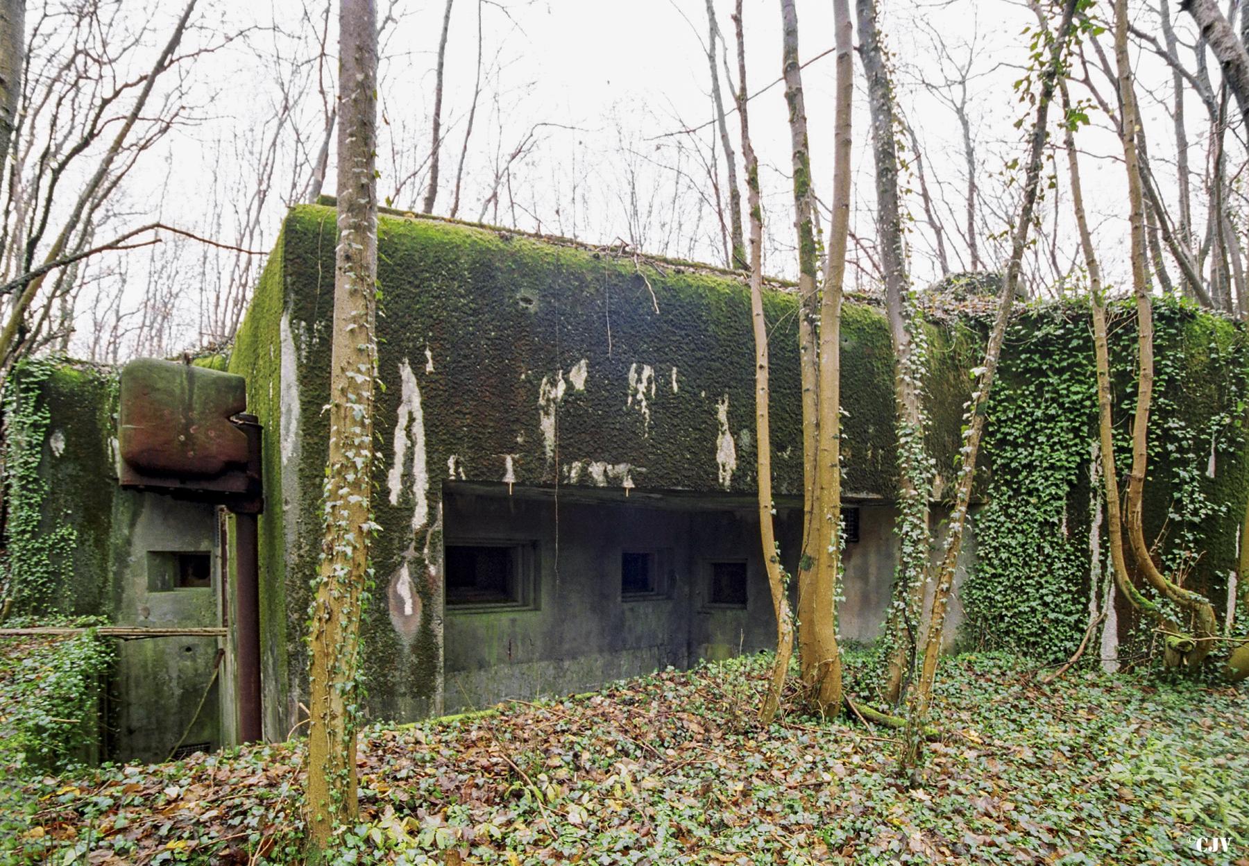 Ligne Maginot - BOIS DE BEUVEILLE - C2 (JACQUELINE) - (Casemate d'infanterie - Simple) -  - Lia VERMEULEN