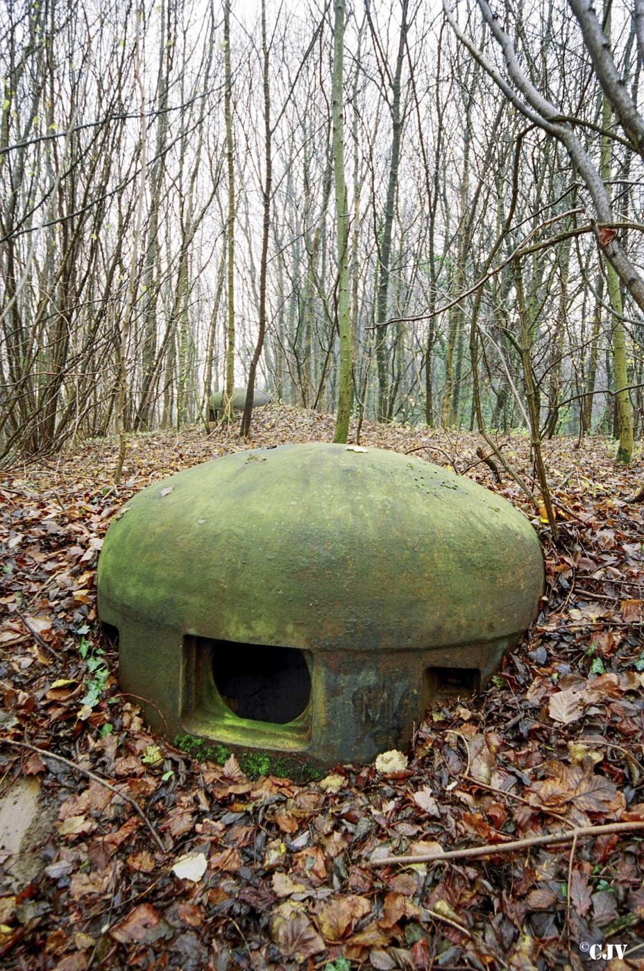 Ligne Maginot - BOIS DE BEUVEILLE - C2 (JACQUELINE) - (Casemate d'infanterie - Simple) - Cloche pour jumelage de mitrailleuses Reibel MAC 31 - Lia VERMEULEN