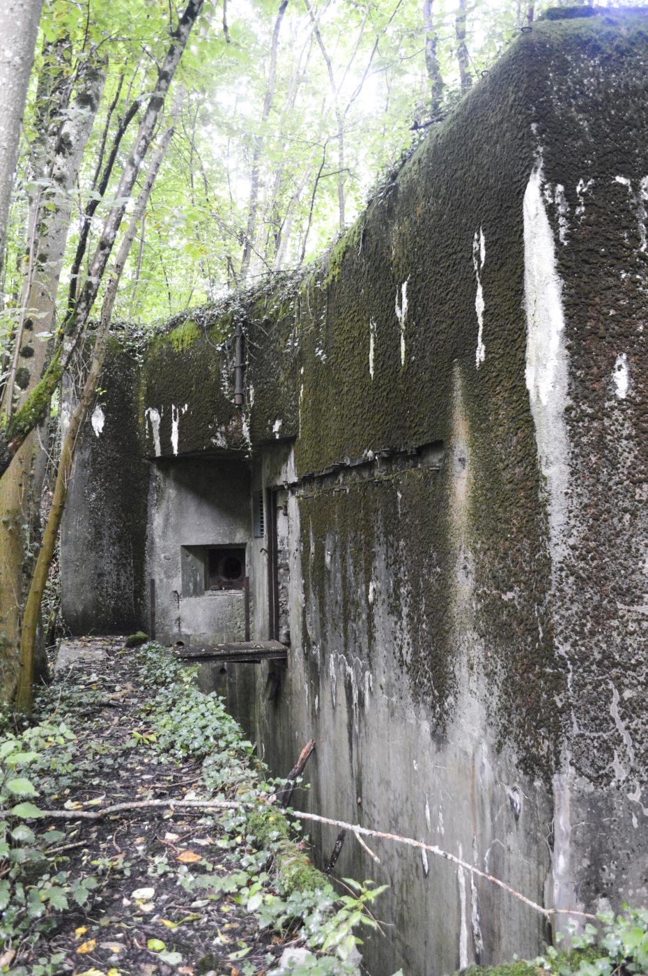 Ligne Maginot - BOIS DE BEUVEILLE - C2 (JACQUELINE) - (Casemate d'infanterie - Simple) -  - ukmaginot