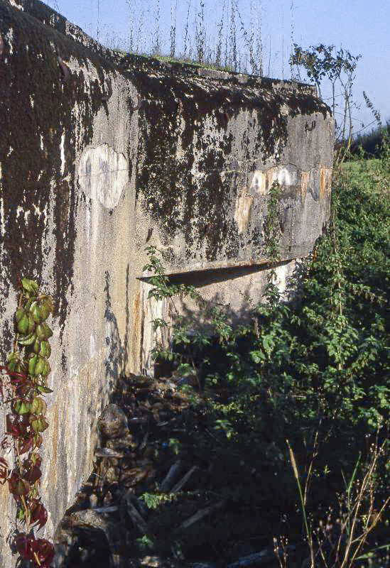 Ligne Maginot - HAUT DE L'ANGUILLE OUEST -  C3 - (Casemate d'infanterie) -  - Valentin Hemmert