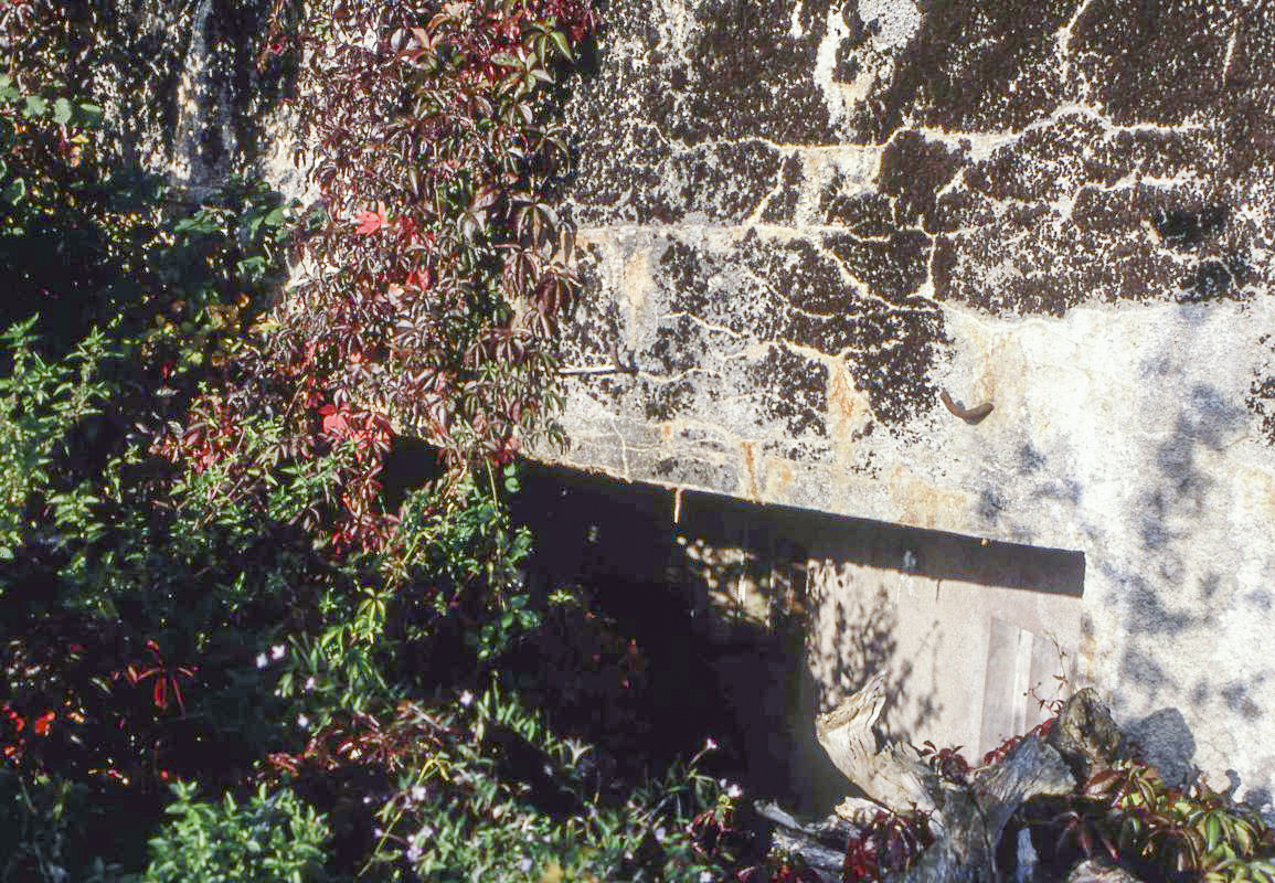 Ligne Maginot - HAUT DE L'ANGUILLE OUEST -  C3 - (Casemate d'infanterie) -  - Valentin Hemmert