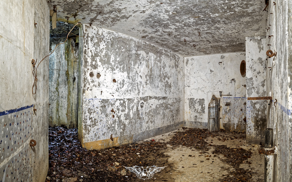 Ligne Maginot - Casemate HAUT de l'ANGUILLE Ouest - C3 -  - Thierry Caland