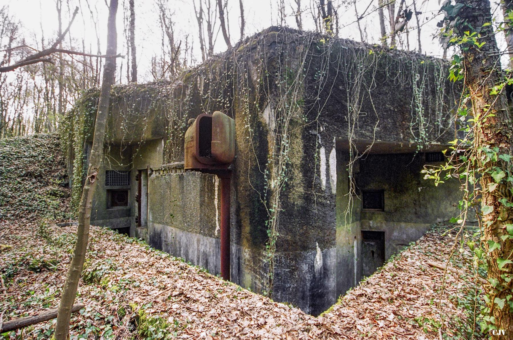 Ligne Maginot - BOIS DE TAPPE EST  - C6 - (Casemate d'infanterie) - 