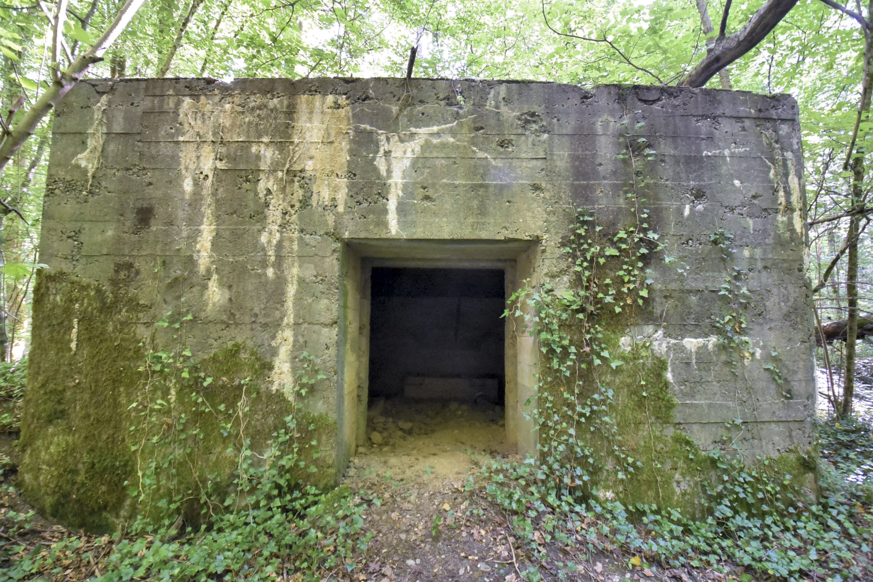 Ligne Maginot - DB302 - BOIS DE LATIREMONT - (Blockhaus pour canon) -  - Ludovic KNAPP