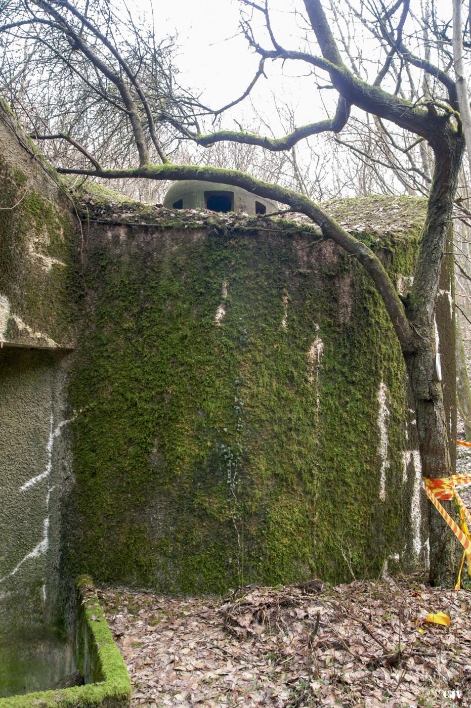 Ligne Maginot - PRAUCOURT - C8 - (Casemate d'infanterie - Simple) - Une cloche JM - Lia VERMEULEN