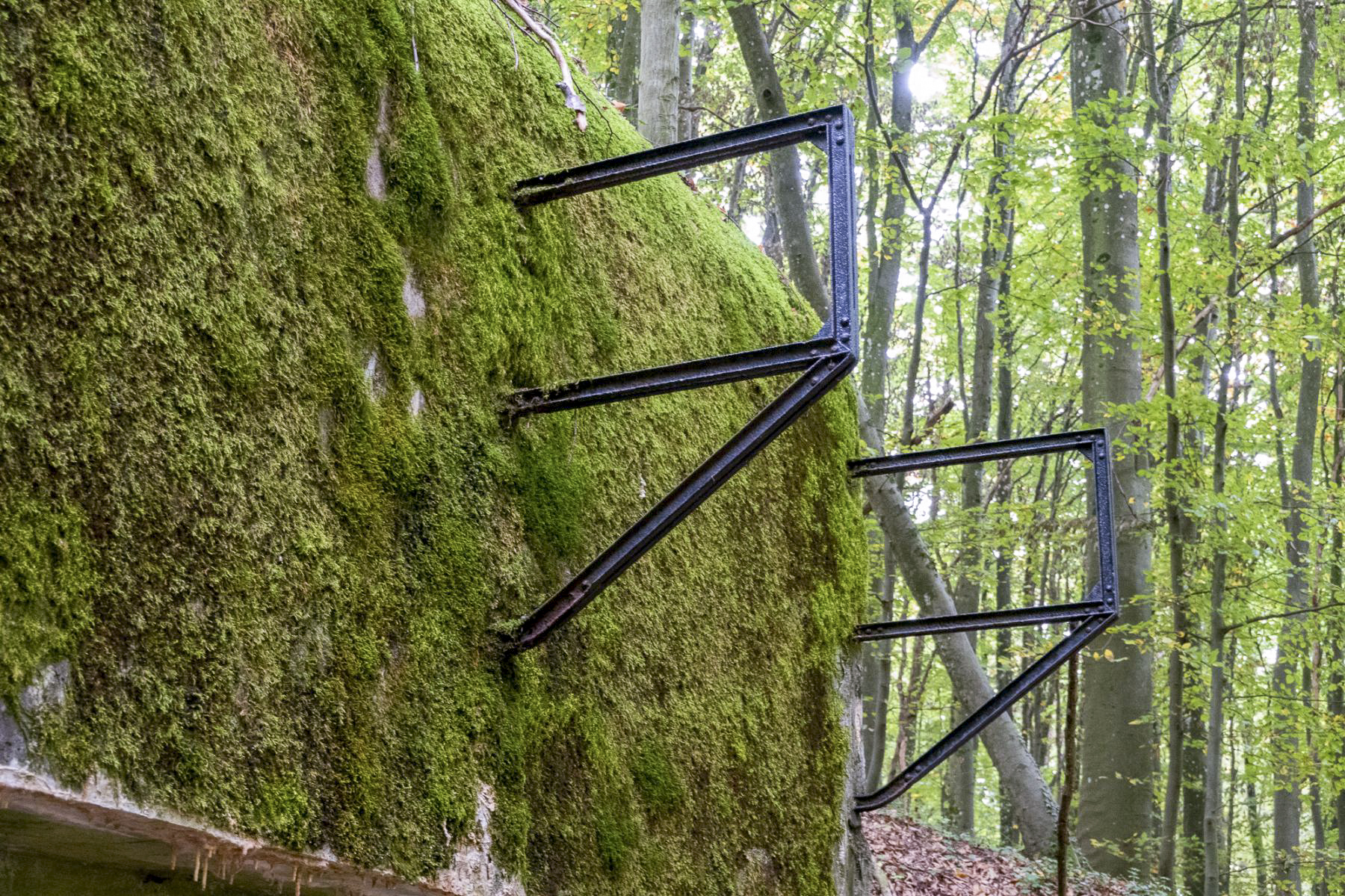 Ligne Maginot - CHENES BRULES - X23 - (Abri) - Coffre Sud
Support de l'antenne - Michel Teiten