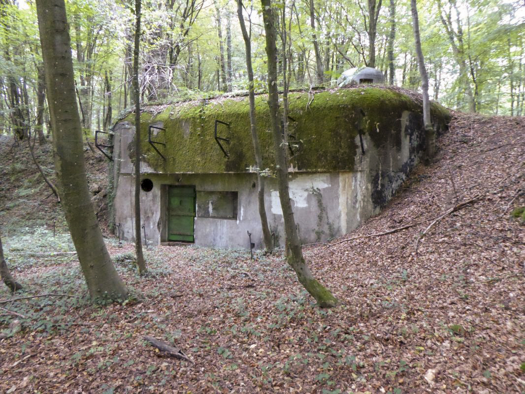 Ligne Maginot - CHENES BRULES - X23 - (Abri) - Coffre Sud