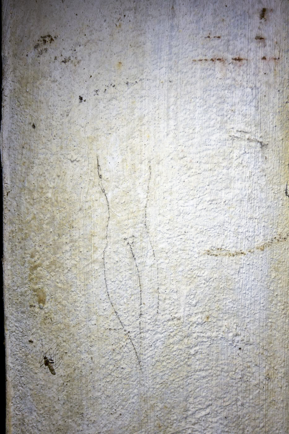 Ligne Maginot - CHENES BRULES - X23 - (Abri) - Coffre Nord
Graffitis dans le couloir d'entrée
Ebauche de silhouette féminine - Michel Teiten