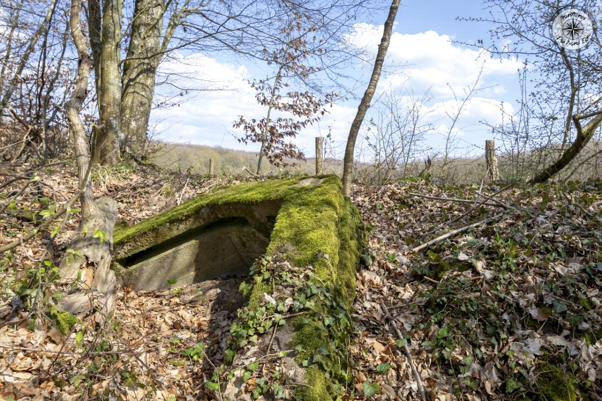 Ligne Maginot - HUBERBUSCH 5 - (Blockhaus pour canon) -  