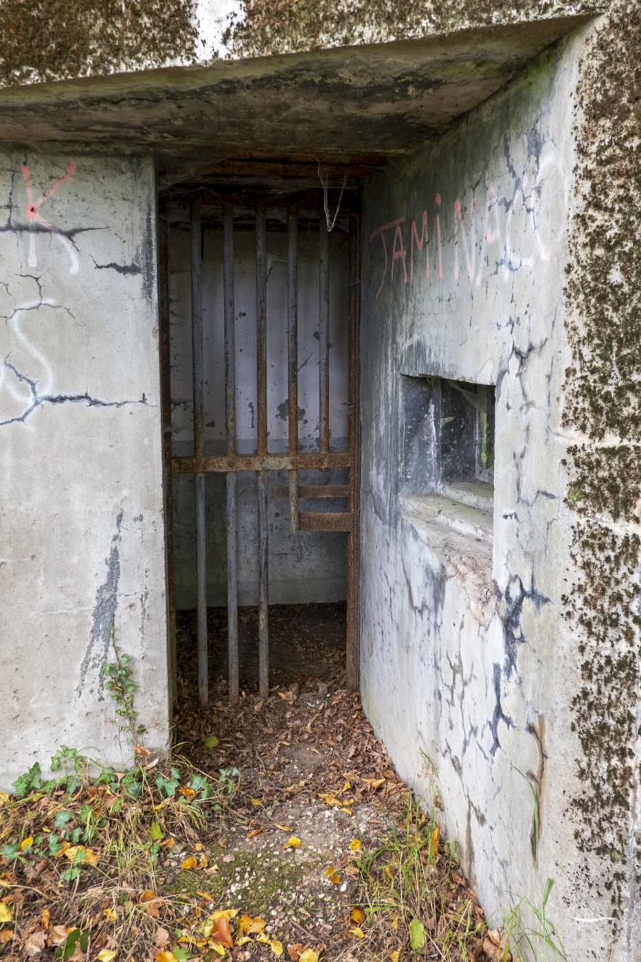 Ligne Maginot - BOIS D'OTTONVILLE - BCA1 - (Casemate d'artillerie) - Entrée hommes  - Michel Teiten