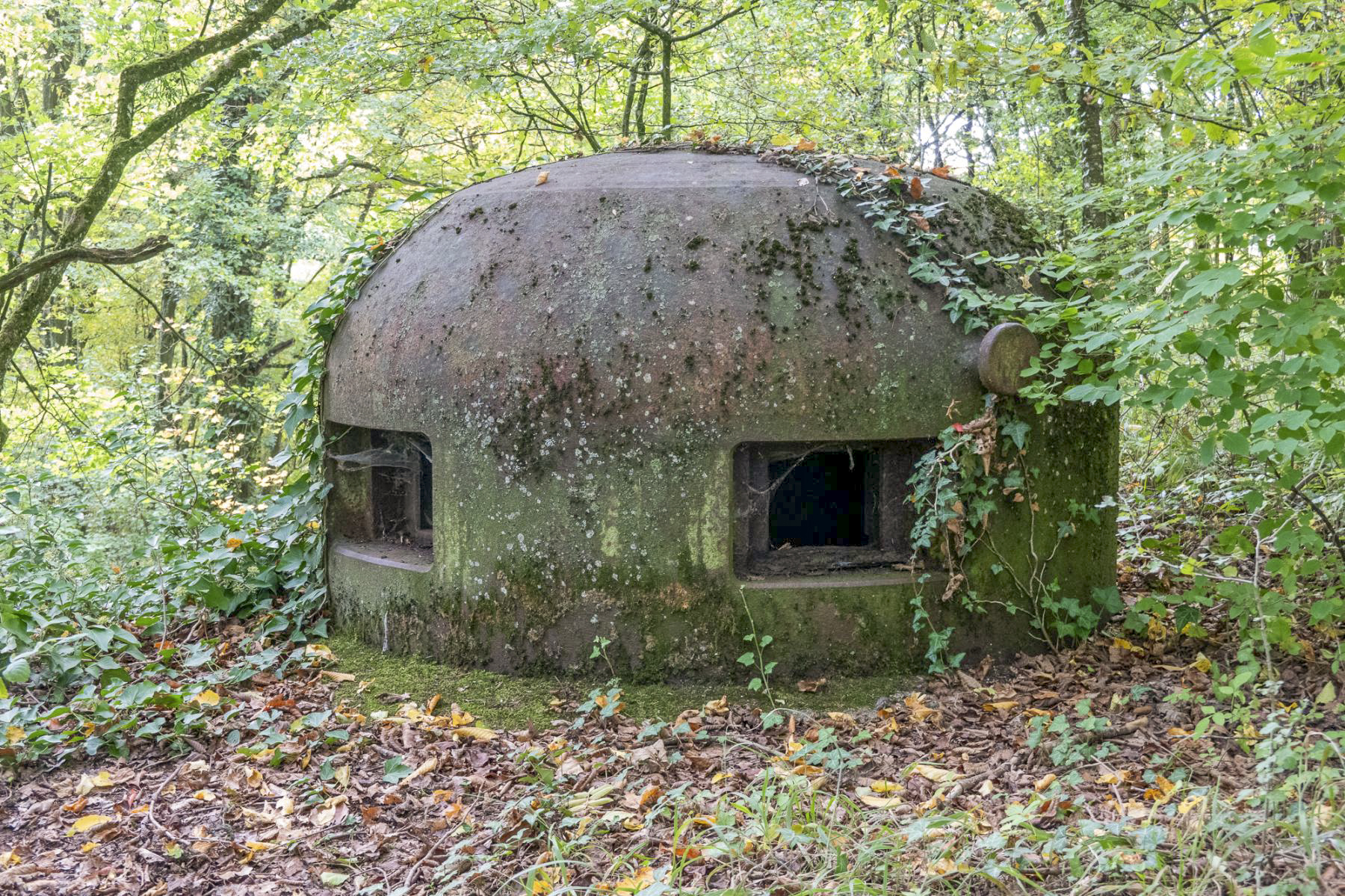 Ligne Maginot - BOIS D'OTTONVILLE - BCA1 - (Casemate d'artillerie) - Cloche GFM type A PM2 (petit modèle) - Michel Teiten