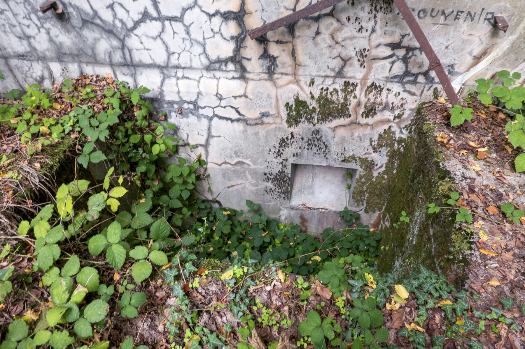 Ligne Maginot - BOIS D'OTTONVILLE - BCA1 - (Casemate d'artillerie) - Fosse à douilles de 75 de la chambre de tir gauche - Michel Teiten