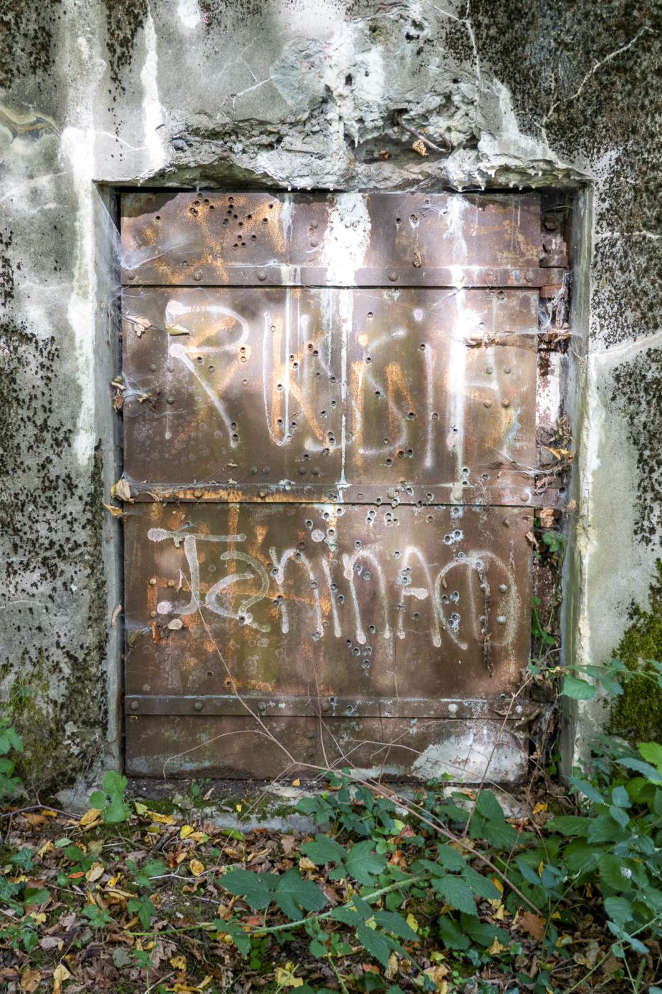 Ligne Maginot - BOIS D'OTTONVILLE - BCA1 - (Casemate d'artillerie) - Porte blindée de l'entrée matériel  - Michel Teiten