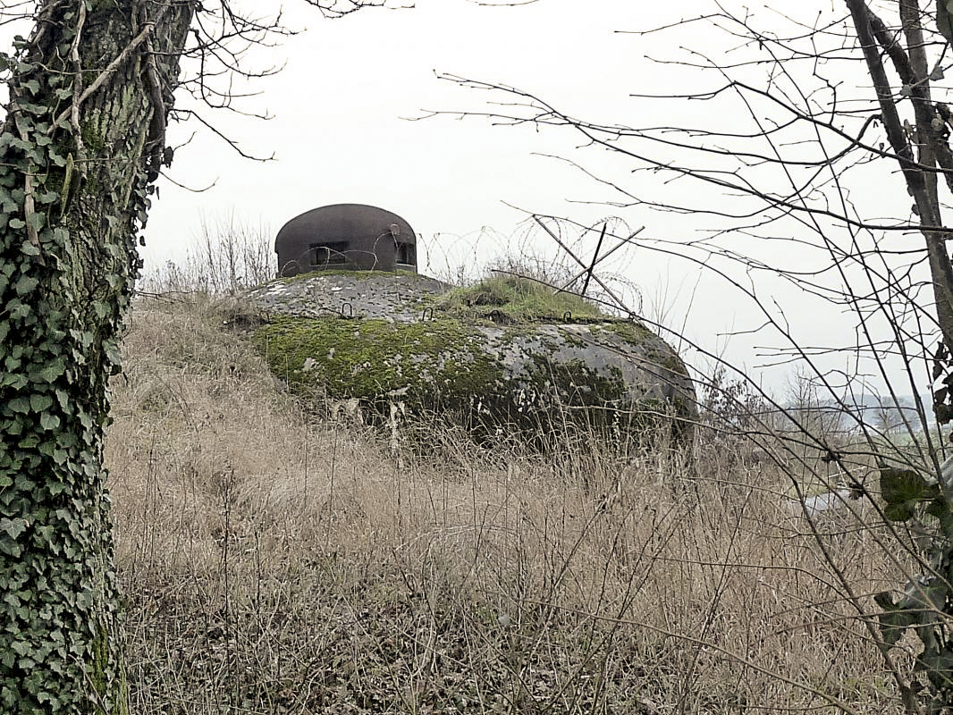 Ligne Maginot - ROTHERBERG - X30 (QUARTIER FREISTROFF - II/162°RIF) - (Abri) -     