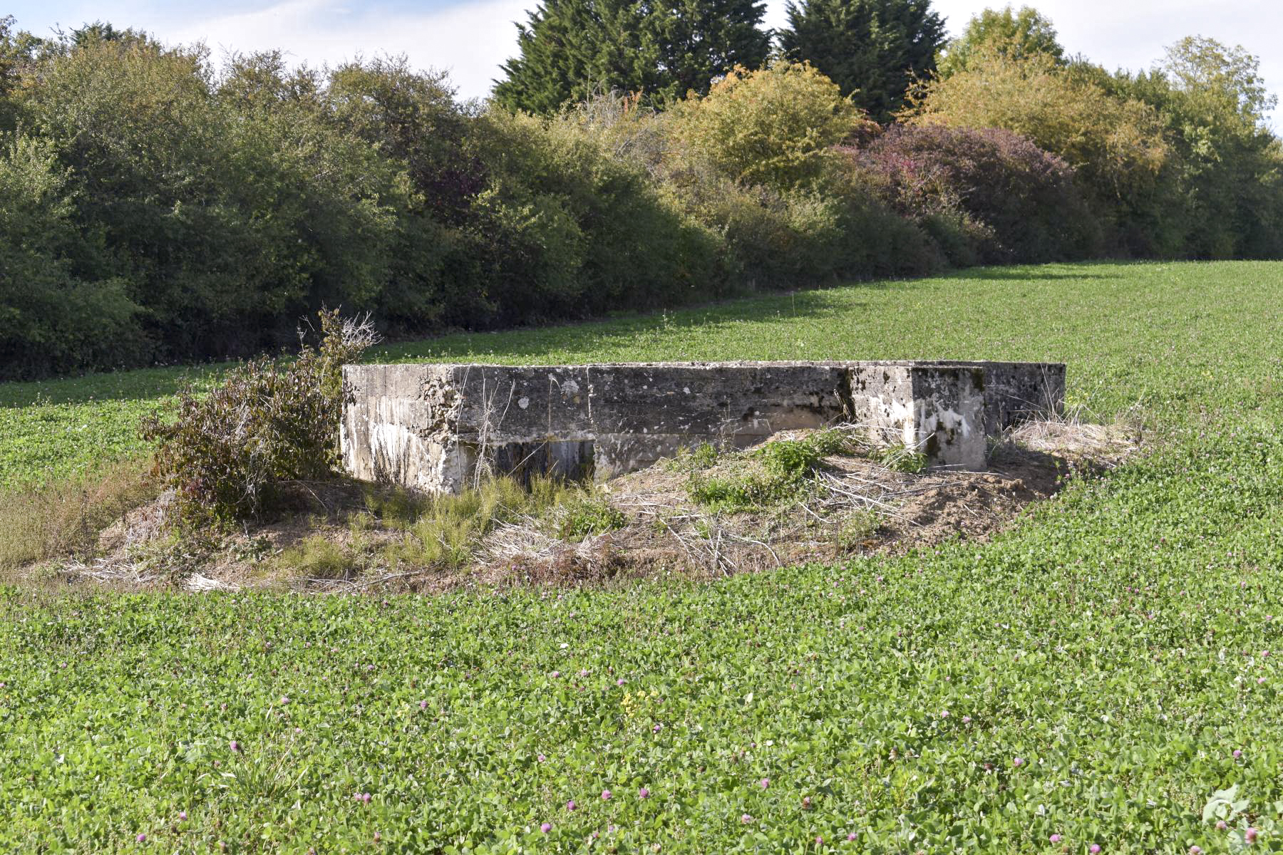 Ligne Maginot - HAGEN SUD 2 - (Blockhaus de type indéterminé) - Vue coté sud/sud-est - Daniel Froehly
