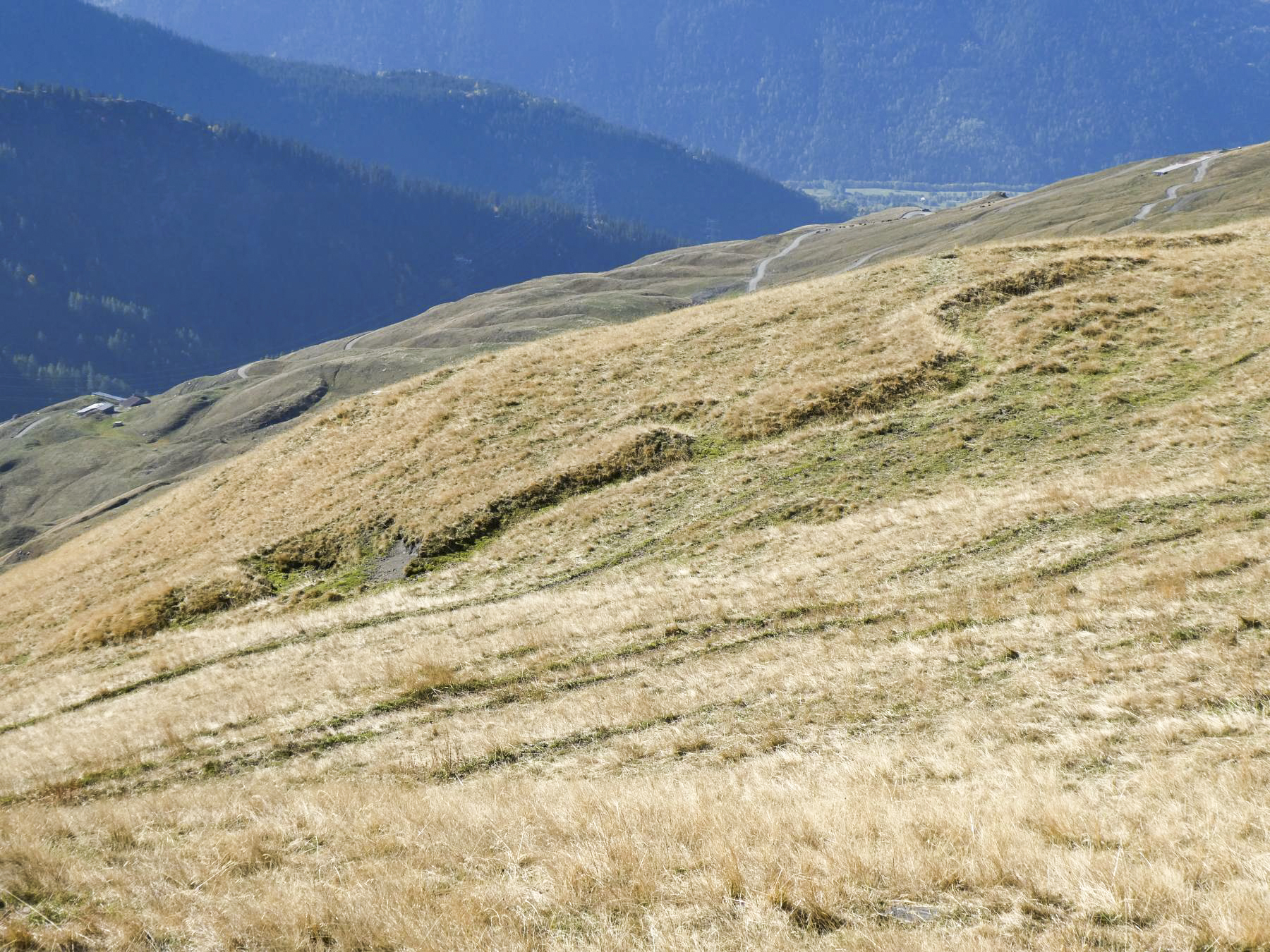 Ligne Maginot - LA COMBE - (Abri) - Position d'infanterie sur les dessus - ELLENA Daniel - CUNY Philippe
