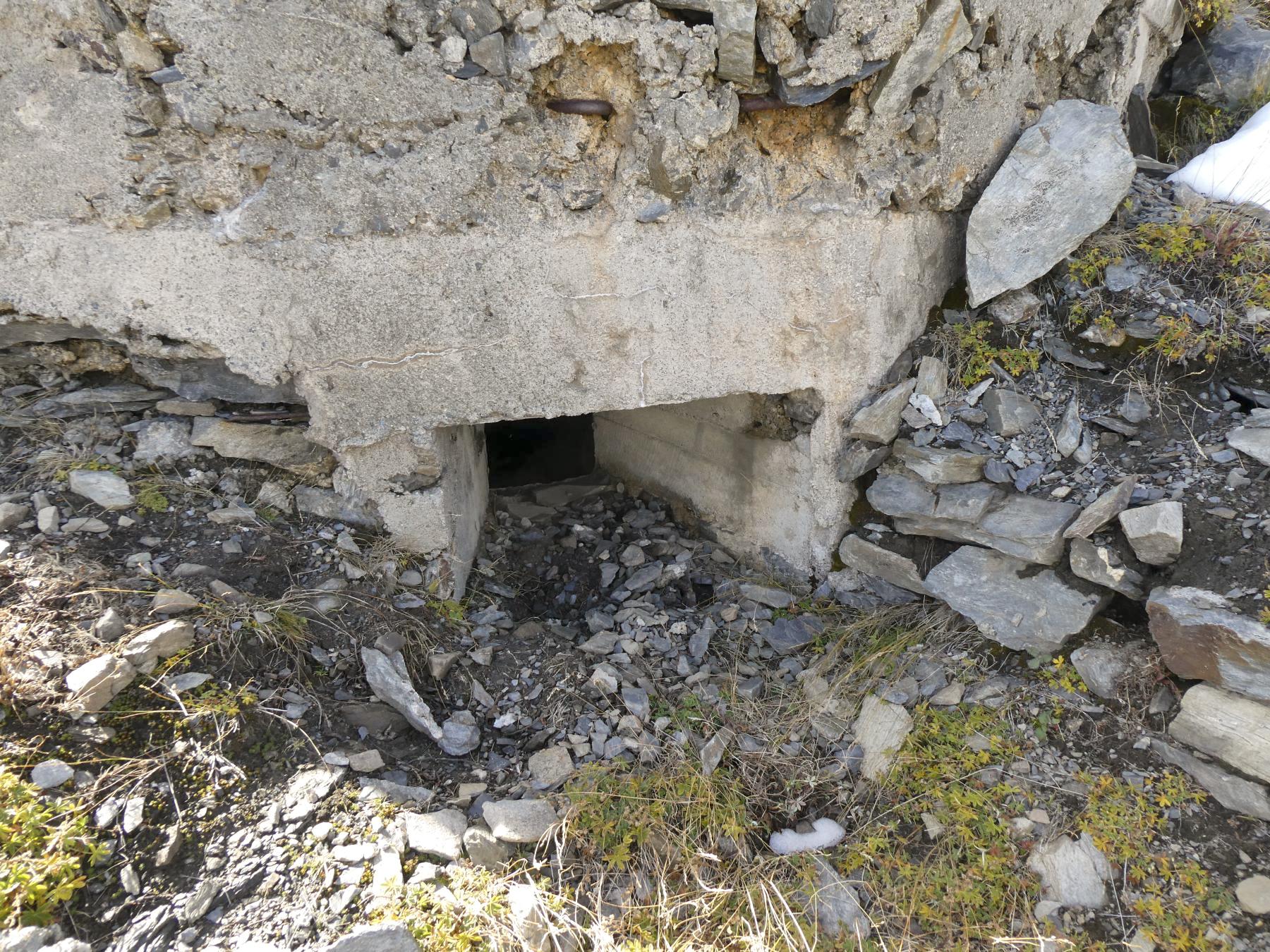 Ligne Maginot - ROC NOIR EST 2 - (Blockhaus pour arme infanterie) -  - ELLENA Daniel - CUNY Philippe