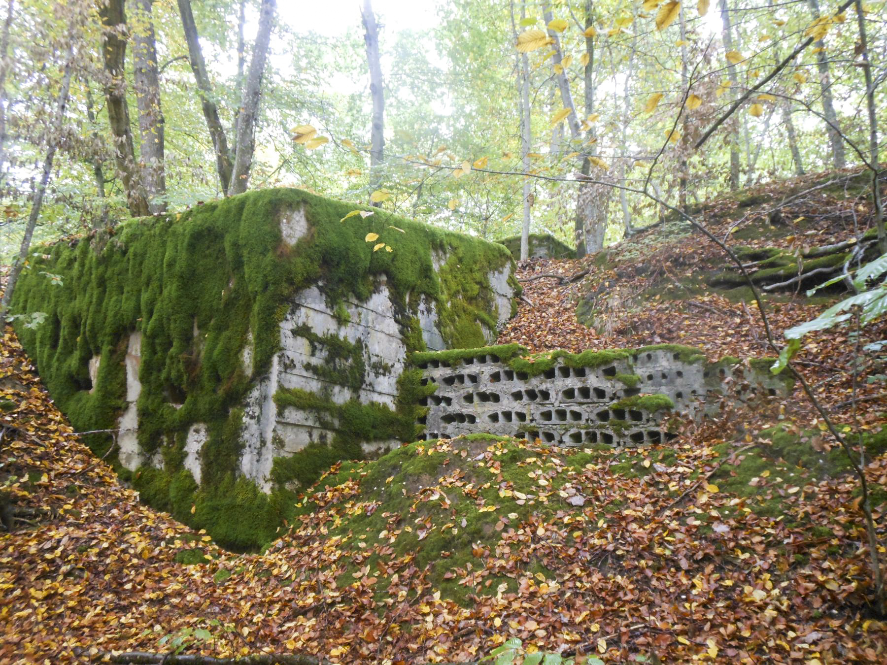 Ligne Maginot - HERBITZHEIM 30 - (Abri) - L'entrée - jean michel minich